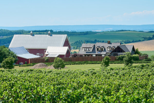Red Barn in Annapolis Valley