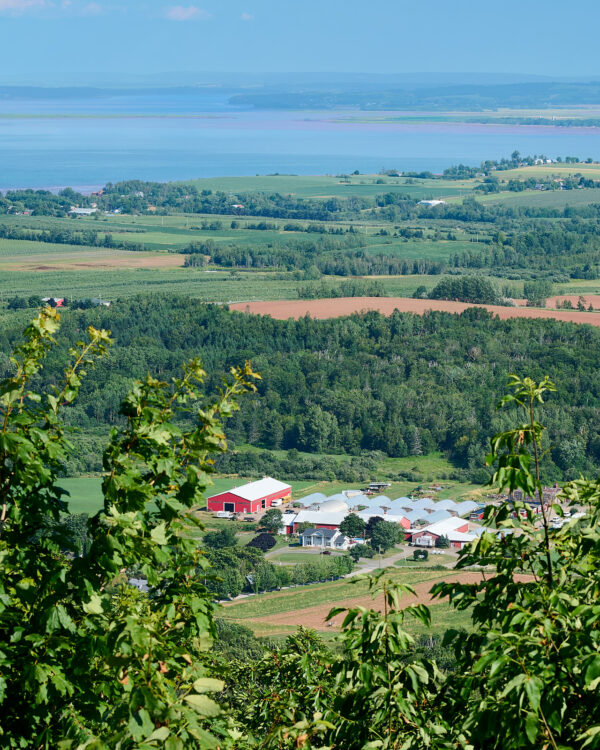 Red Barn and the Ocean