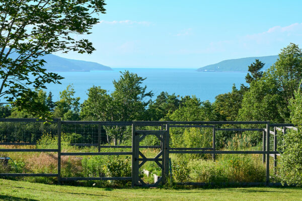 Field With Ocean View