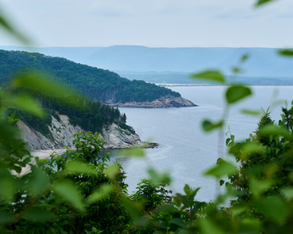 Cape Breton Mountains and Trees