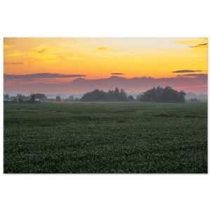 06105b31-f0f3-4692-9e6b-1e6e38172644