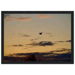 0c5c354e-74d2-42b7-959b-ebdaca502cb8