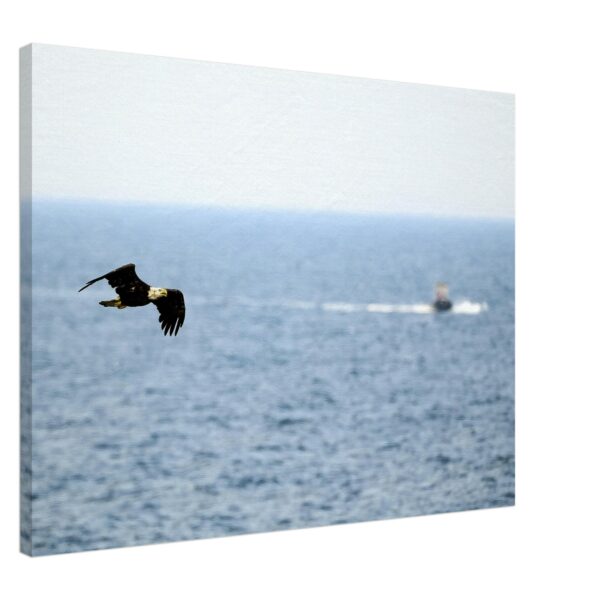 3b73f2b8-4716-4fe7-a4ed-a7ec7477cff7