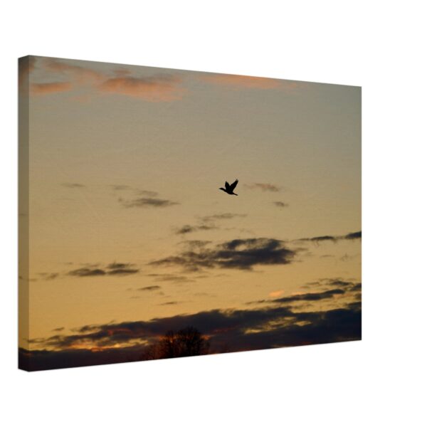 3d518941-1680-48ae-8140-c15ed8ab39f0