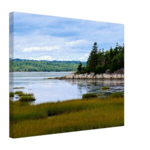 4c664ae8-7421-4832-b5bc-9154b21cfb10