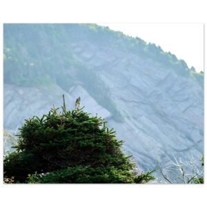 4f32cb7a-72c6-458c-b0b1-011003a840ea