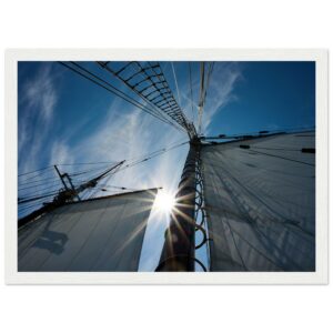 50213020-843b-42ed-94e4-23dd9ecbf0ba