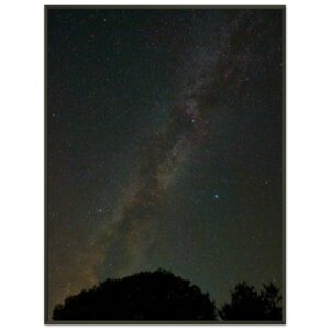51353ad9-213a-4808-8524-7ddd896ddaf7