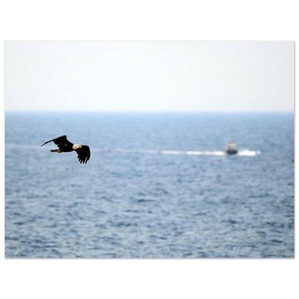 72f093d7-ab4e-4a29-9c33-e5769d0577b9