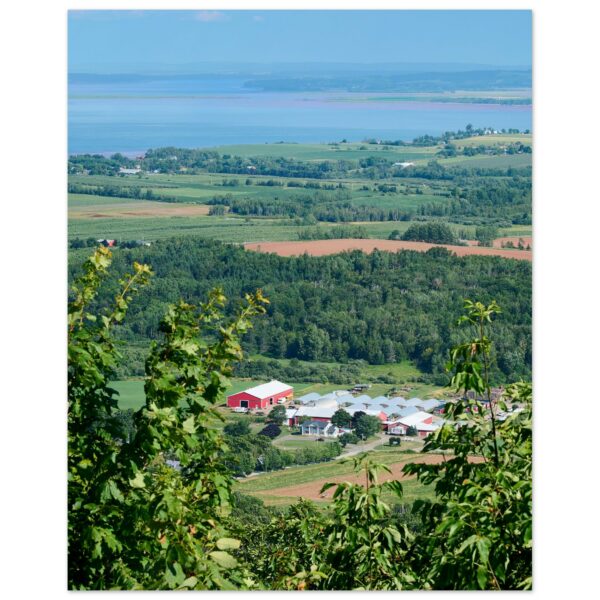 Red Barn and the Ocean Aluminum Print 16"×20″
