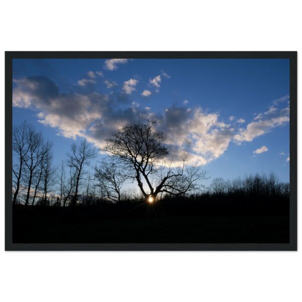 8ca6b4b5-bb02-45ef-872f-5e20634dd5ee