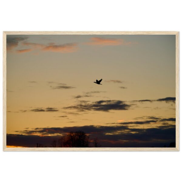 8d223e3a-c25d-4310-b8b1-4558748f63d2