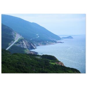 93361d5e-7dbc-4fd5-bfc0-28ca3de8c495