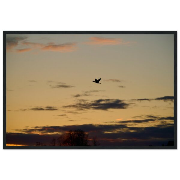 982713db-d190-41cf-b7c7-1e91a9813a67