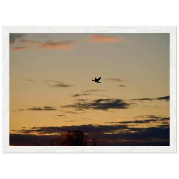 98793960-667f-4b83-b0c0-cef1df9ac64c