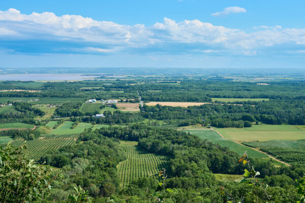 A photograph of lush green agricultural farms in the Annapolis Valley, with the intertidal zone mudflats in the distance and a blue sky with clouds.