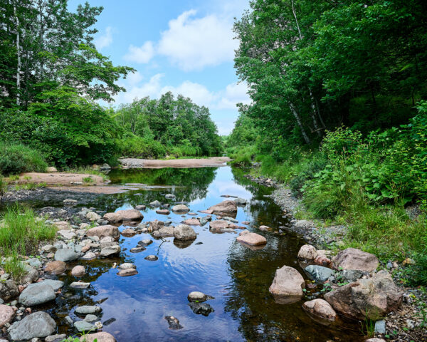 Cape Breton Stream