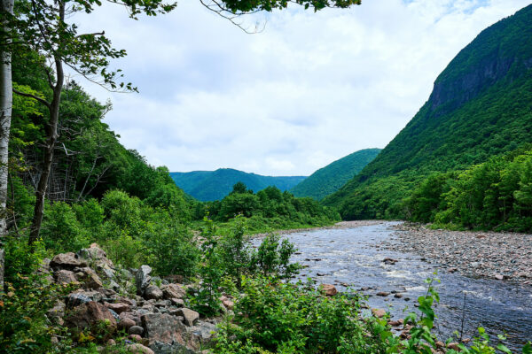Cape Breton Stream (2)