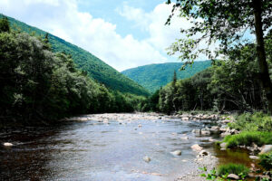 Cape Breton Stream (3)