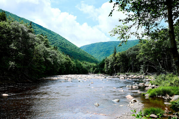 Cape Breton Stream (3)