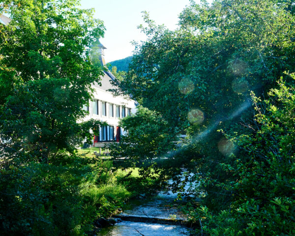 View From Glenora Distillery Pathway