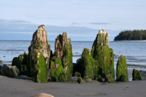 Rocks on MacCormacks Beach, Fisherman’s Cove