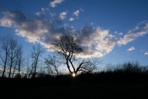 Cole Harbour Heritage Park (4)