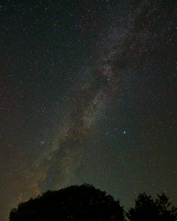 The Milky Way