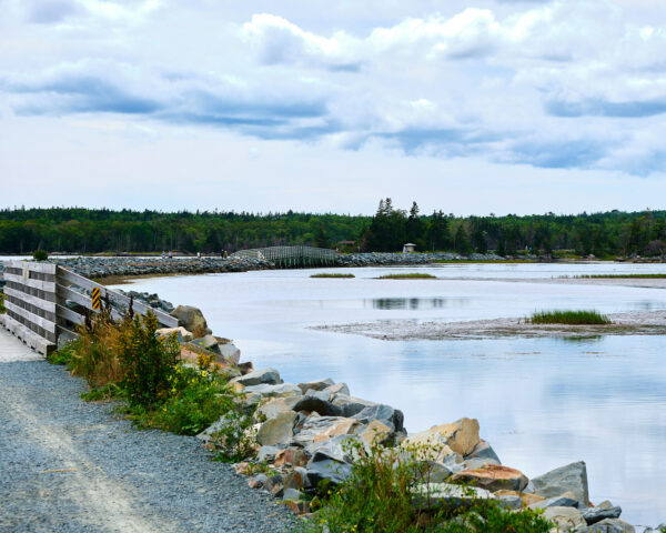 Salt Marsh Trail (2)