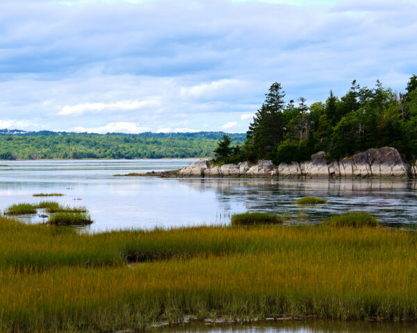 Salt Marsh Trail