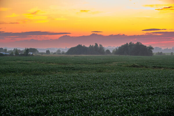 Sunset Over Wolfville