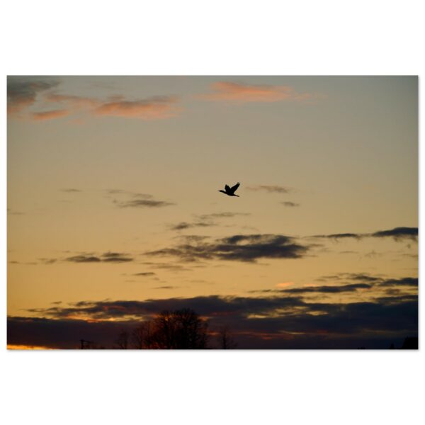 b4c58860-12ff-4bf8-a848-cc4601d06b06