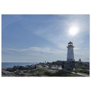 c2b22086-69ca-4d9a-818e-927f36139578