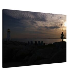 d9e99b25-9f44-4912-8d87-f15270211754