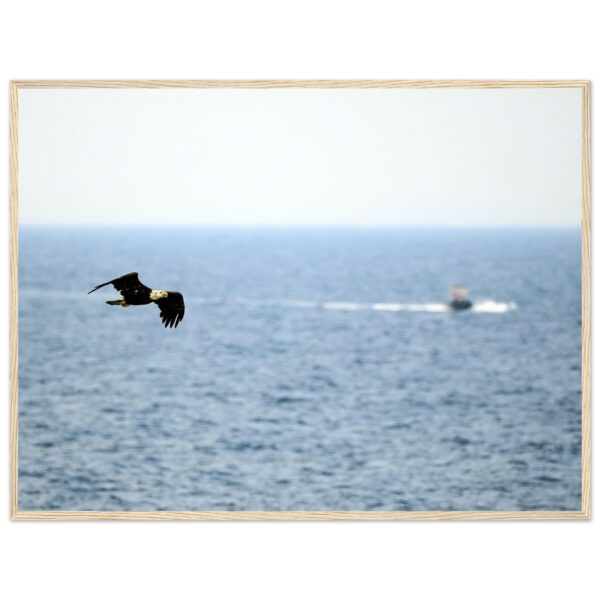 f28513ea-d242-452f-8d40-9635c0c924e4