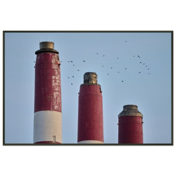 0bddd570-7e35-403a-bade-7521a0331a27
