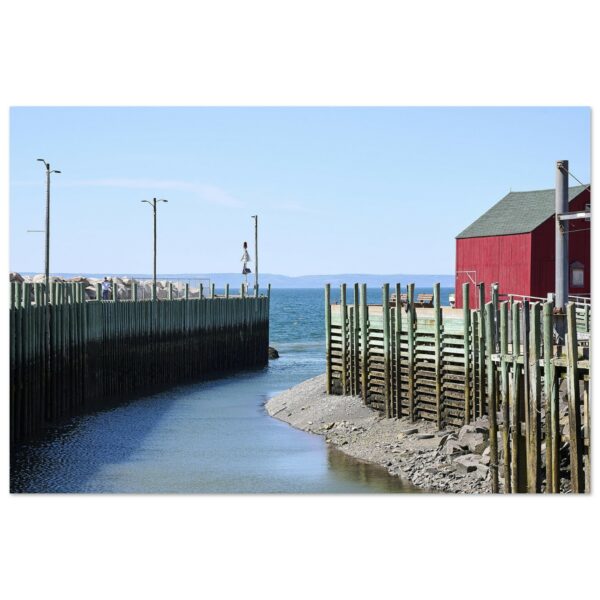 0e3b4101-bc18-4d52-8820-03928cd135df