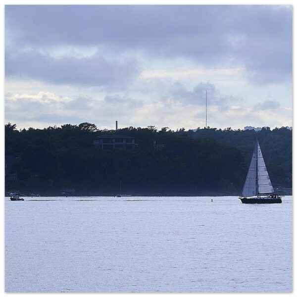The Northwest Arm (Left) Aluminum Print 12" x 12"