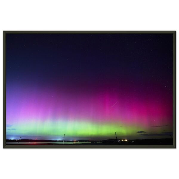 1ed25d66-a774-4a59-878f-d68e872d4b09