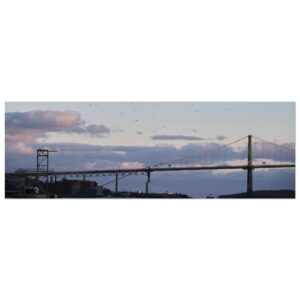 218f610f-5fd4-483b-be10-d8135d6b49c3