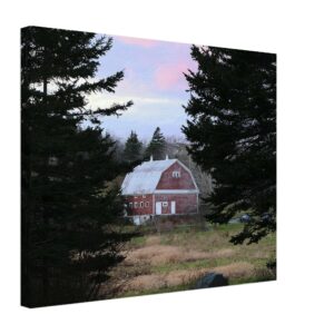 3c2c1580-bbc5-441d-88cc-56fefa6a6961