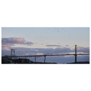 The Mackay Bridge (3) Premium Semi-Glossy Paper Poster 10" x 24"