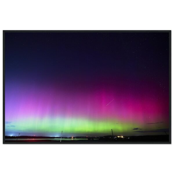 50c9afda-2b71-4ae7-a83f-329da1e02c20