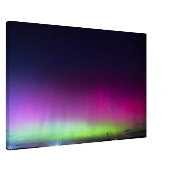 6541c4d9-9a7f-489b-a9ed-6f57bed3bc07