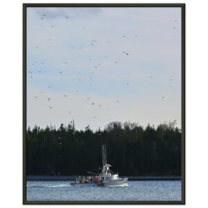 Boat and Seagulls, Fisherman's Cove Premium Semi-Glossy Paper Metal Framed Poster 16" x 20"
