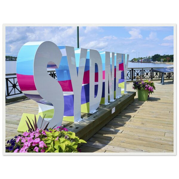 6ba3bf41-82b3-4dcb-b45e-d7ad44d98344