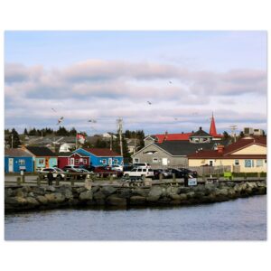 Fisherman's Cove at Sunset with Seagulls Aluminum Print 16" x 20"