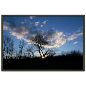 84a76f75-49be-4481-a0ef-5351ebdcb2cc