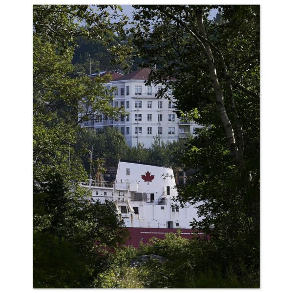 Coast Guard Vessel and Trees Premium Semi-Glossy Paper Poster 8" x 10"