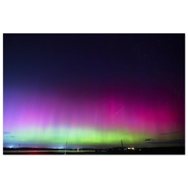 87a2b795-d47e-45f1-9da1-a4b11663d8f6